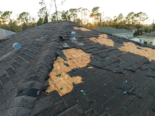 Professional Roofing Services in Kewaskum, WI